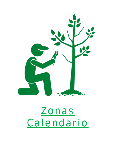Zonas Calendario